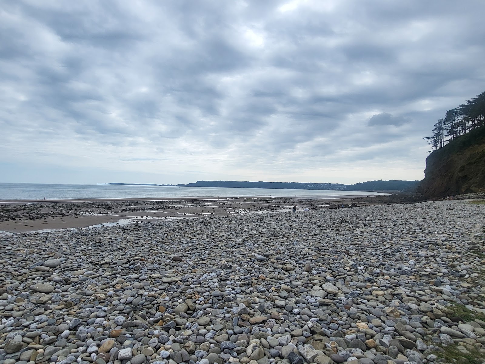 Amroth Arms, photo from the pub's Google listing